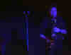 037.jpg (307283 bytes)