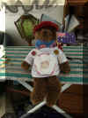 teddy1.jpg (249999 bytes)